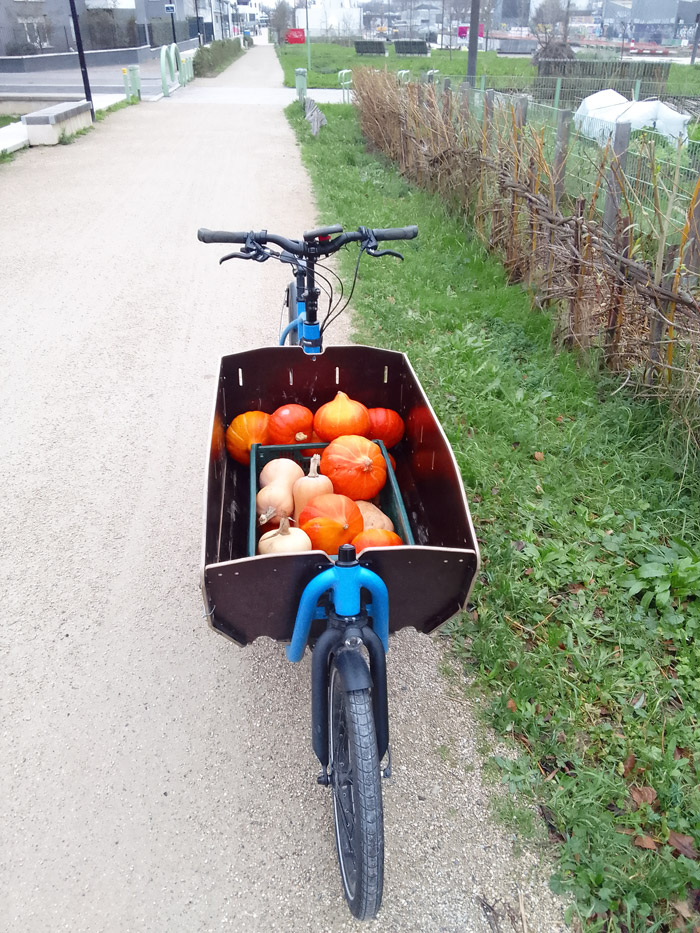 Vélo-cargo et chambre froide : CultiCime plus efficace 